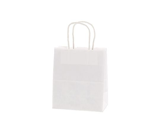 手提げ紙袋　25チャームバッグ　21-12　晒白無地　50枚