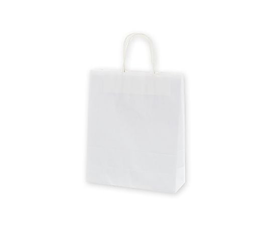 手提げ紙袋　25チャームバッグ　S　晒白無地　50枚