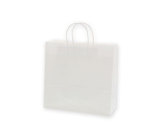 手提げ紙袋　25チャームバッグ　3才　白無地　50枚