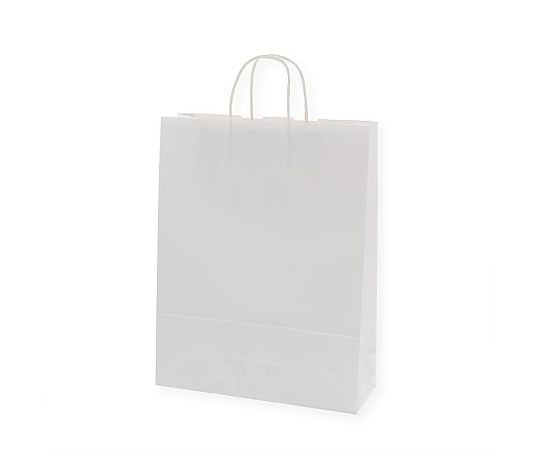 手提げ紙袋　25チャームバッグ　2才　晒白無地　50枚