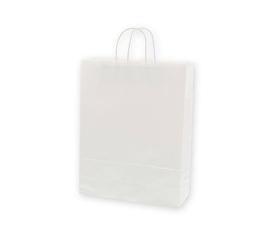 手提げ紙袋　25チャームバッグ　2才　白無地　50枚