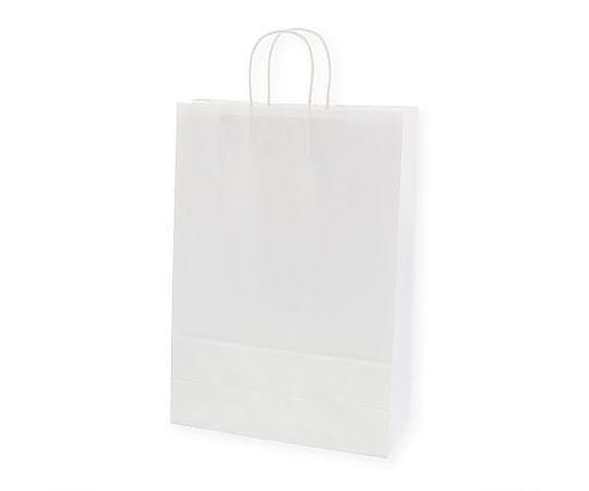 手提げ紙袋　25チャームバッグ　STD　晒白無地　50枚