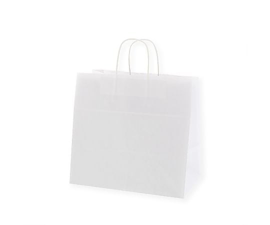 手提げ紙袋　25チャームバッグ　34-1　晒白無地　50枚