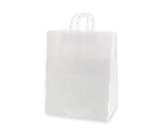 手提げ紙袋　25チャームバッグ　34-2　晒白無地　50枚