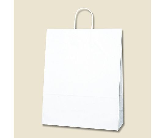 手提げ紙袋　25チャームバッグ　カスタム判　白無地　50枚