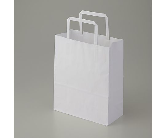 手提げ紙袋　25チャームバッグ　平手　20-1　晒白無地　50枚