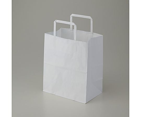 手提げ紙袋　25チャームバッグ　平手　S2　晒白無地　50枚