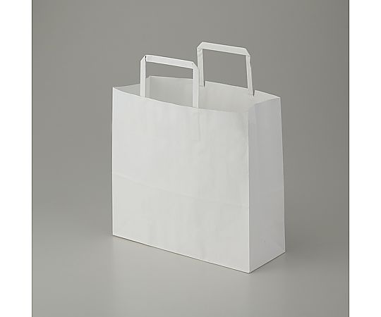 手提げ紙袋　25チャームバッグ　平手　26-1　晒白無地　50枚