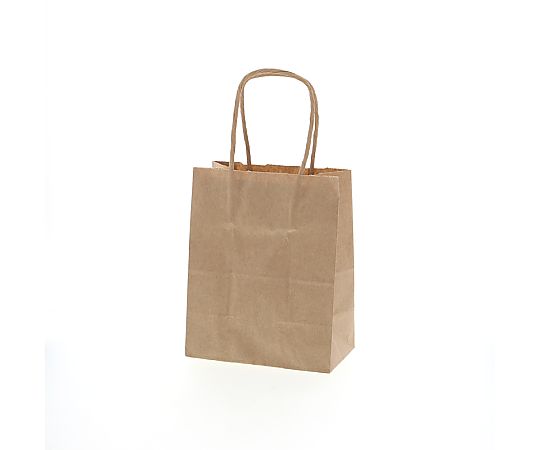 手提げ紙袋　25チャームバッグ　18-1　未晒無地　50枚