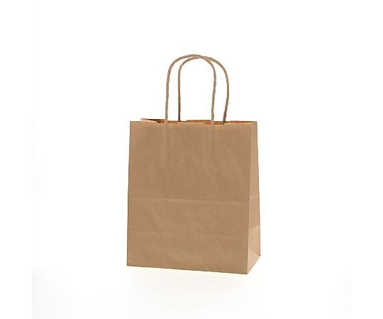 手提げ紙袋　25チャームバッグ　21-12　未晒無地　50枚