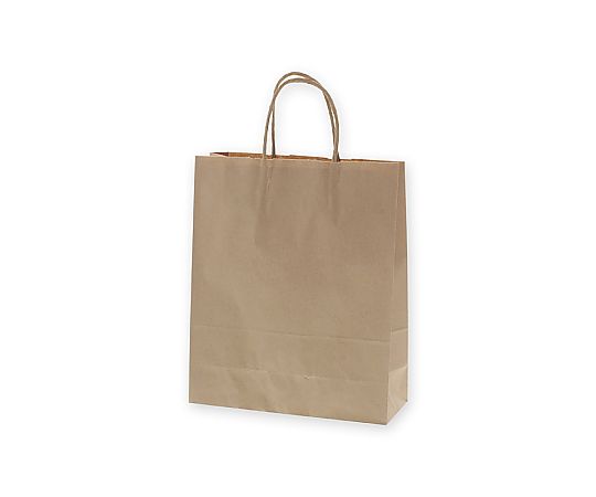 手提げ紙袋　25チャームバッグ　S　未晒無地　50枚