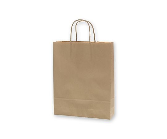 手提げ紙袋　25チャームバッグ　MS1　未晒無地　50枚