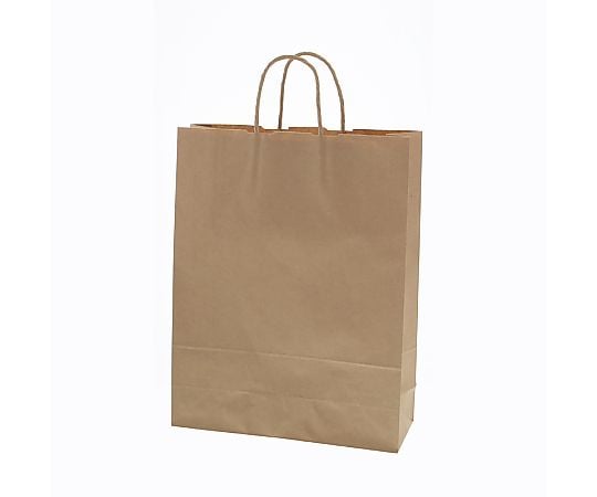 手提げ紙袋　25チャームバッグ　2才　未晒無地　50枚