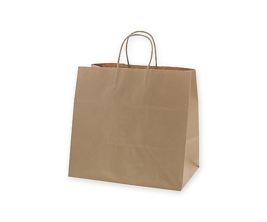 手提げ紙袋　25チャームバッグ　34-1　未晒無地　50枚