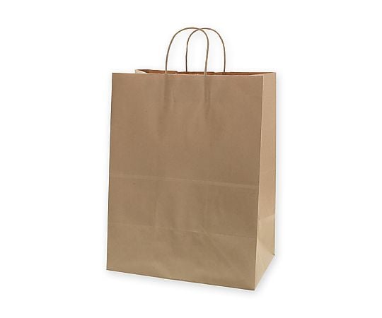 手提げ紙袋　25チャームバッグ　34-2　未晒無地　50枚