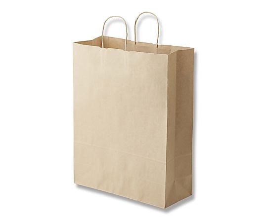 手提げ紙袋　25チャームバッグ　カスタム判　未晒無地　50枚