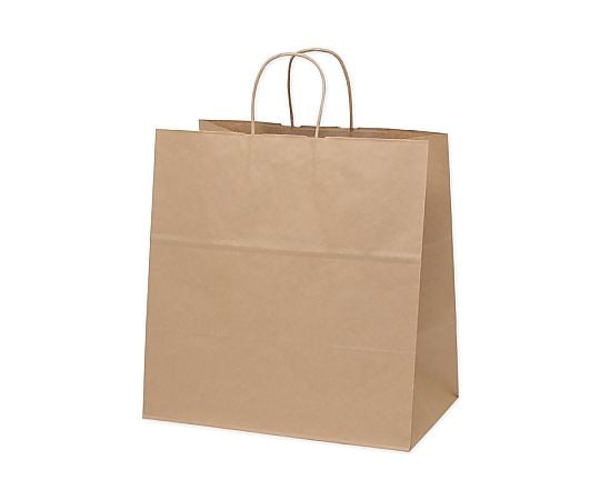 手提げ紙袋　25チャームバッグ　38-4　未晒無地　50枚