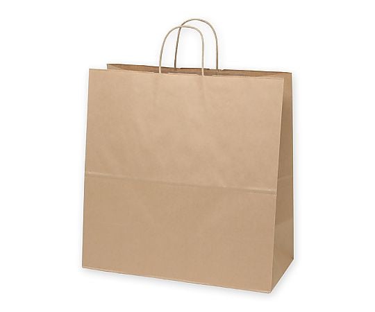 手提げ紙袋　25チャームバッグ　45-1　未晒無地　50枚