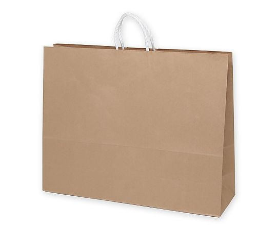 手提げ紙袋　25チャームバッグ　60-2　未晒無地　50枚