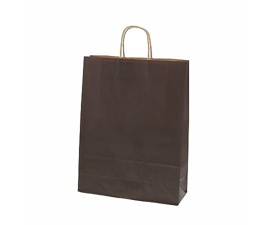 手提げ紙袋　25チャームバッグ　2才　未晒　焦茶C　50枚