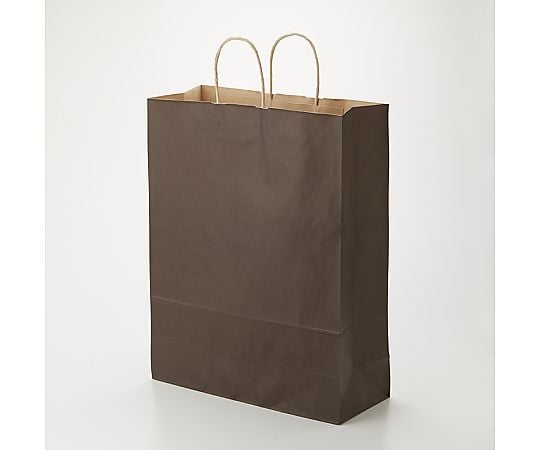 手提げ紙袋　25チャームバッグ　カスタム判　未晒　焦茶C　50枚