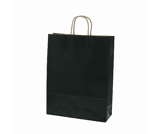 手提げ紙袋　25チャームバッグ　2才　未晒　黒C　50枚