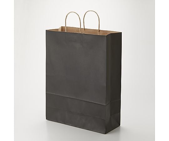 手提げ紙袋　25チャームバッグ　カスタム判　未晒　黒C　50枚