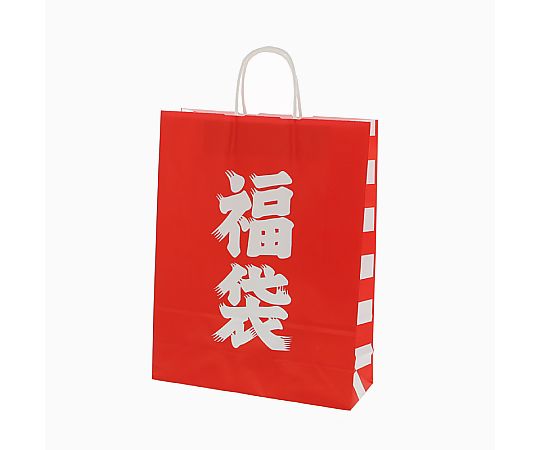 手提げ紙袋　25チャームバッグ　2才　福袋　50枚