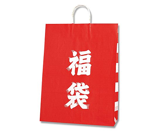 手提げ紙袋　25チャームバッグ　カスタム判　福袋　50枚