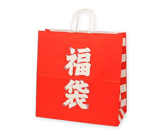 手提げ紙袋　25チャームバッグ　45-1　福袋　50枚