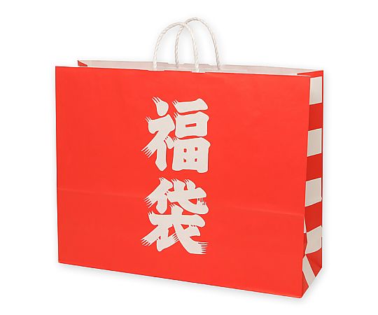 手提げ紙袋　25チャームバッグ　60-2　福袋　50枚