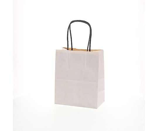 手提げ紙袋　25チャームバッグ　18-1　エコデュオWH　50枚