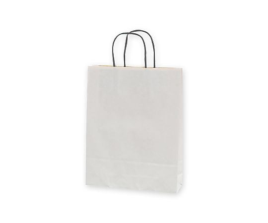 手提げ紙袋　25チャームバッグ　MS1　エコデュオWH　50枚