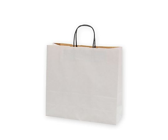 手提げ紙袋　25チャームバッグ　3才　エコデュオWH　50枚