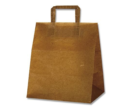 ロー引き袋　手提タイプ　WT-M　10枚