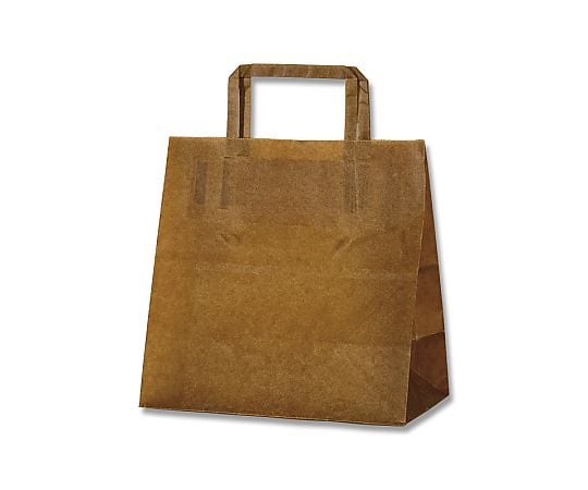 ロー引き袋　手提タイプ　WT-S　10枚