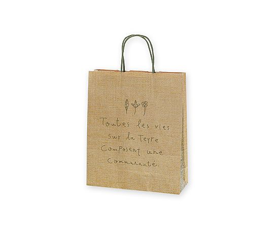 手提げ紙袋　25チャームバッグ　S　ナテュール　G　50枚