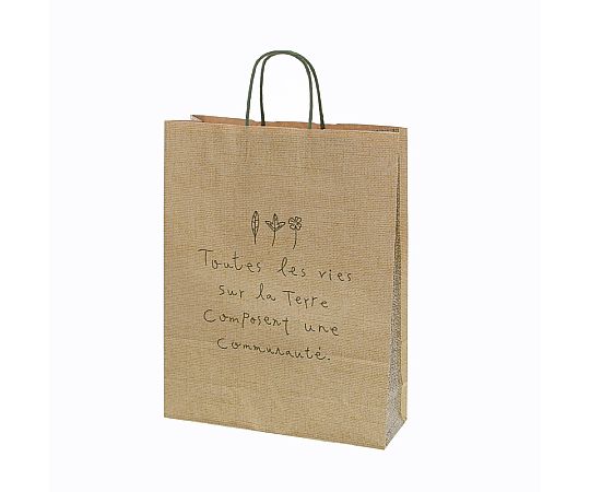 手提げ紙袋　25チャームバッグ　2才　ナテュール　G　50枚