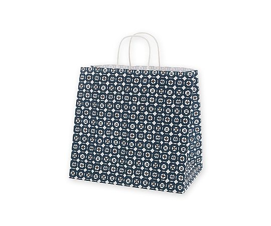 手提げ紙袋　25チャームバッグ　34-1　古銭　50枚