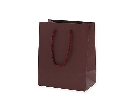 手提げ紙袋　カラーチャームバッグ　20-12　エンジ　10枚