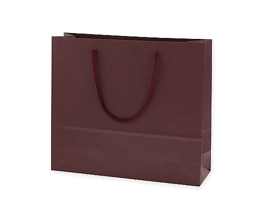 手提げ紙袋　カラーチャームバッグ　3才　エンジ　10枚