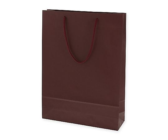 手提げ紙袋　カラーチャームバッグ　2才　エンジ　10枚