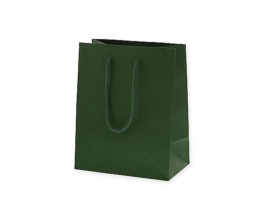 手提げ紙袋　カラーチャームバッグ　20-12　グリーン　10枚