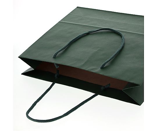 手提げ紙袋　カラーチャームバッグ　3才　グリーン　10枚