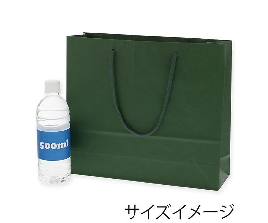 手提げ紙袋　カラーチャームバッグ　3才　グリーン　10枚　005320111