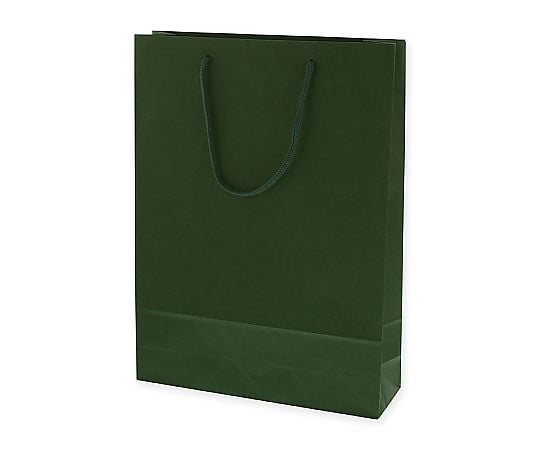 手提げ紙袋　カラーチャームバッグ　2才　グリーン　10枚