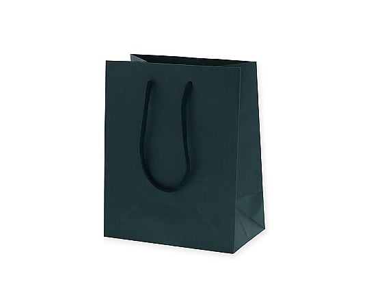 手提げ紙袋　カラーチャームバッグ　20-12　紺　10枚