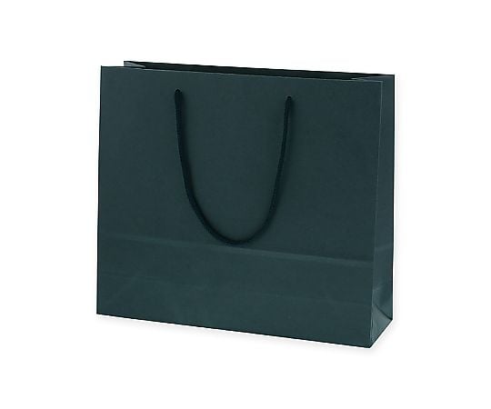 手提げ紙袋　カラーチャームバッグ　3才　紺　10枚