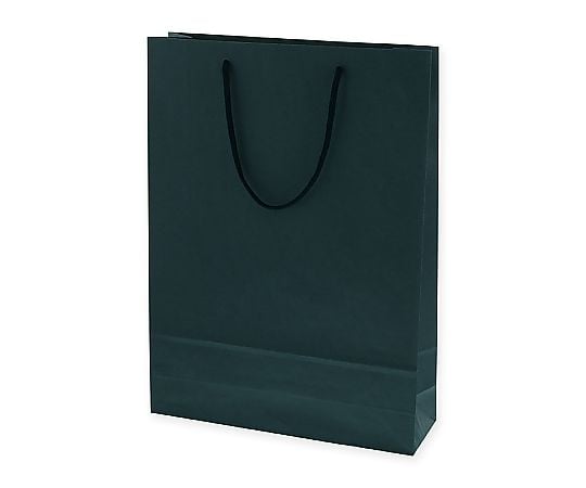 手提げ紙袋　カラーチャームバッグ　2才　紺　10枚