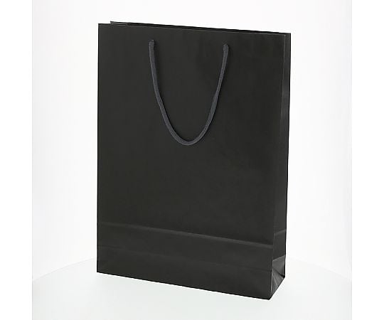 手提げ紙袋　カラーチャームバッグ　2才　黒　10枚